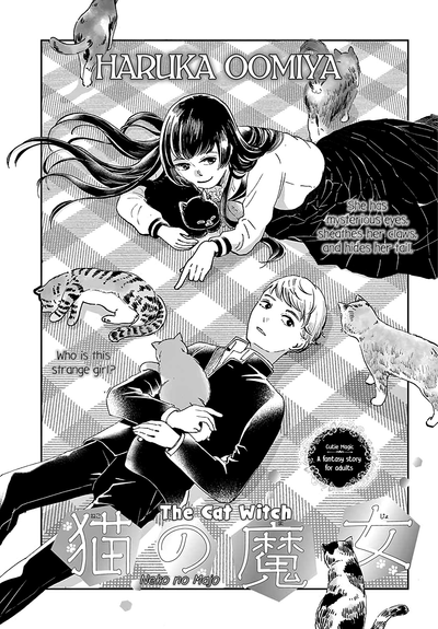 Постер Кошачья ведьма