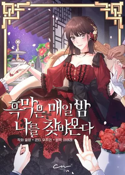 Постер Мой таинственный ночной гость