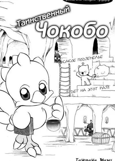 Постер Таинственный Чокобо