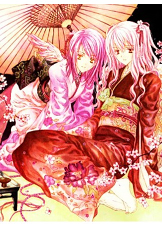 Постер Черновики белых ночей