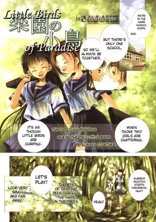 Маленькие райские птички