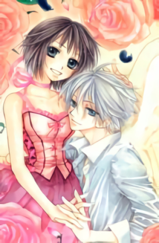 Контракт Широ