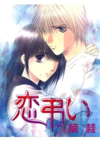 Постер Похороны любви