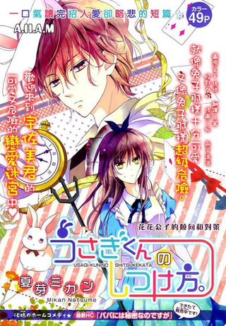 Как укротить мистера кролика