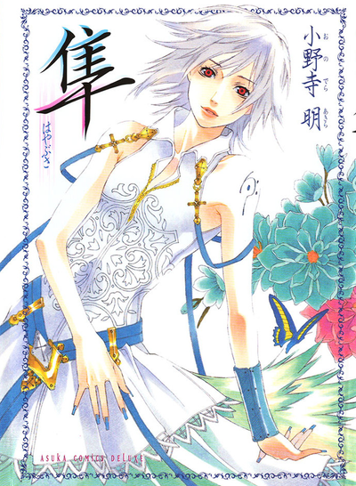 Постер Сокол