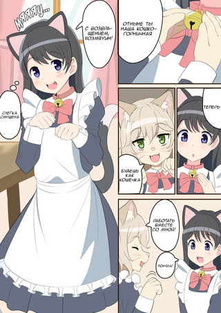 Кафе для горничных, которые во время работы становятся всё более и более похожими на кошечек