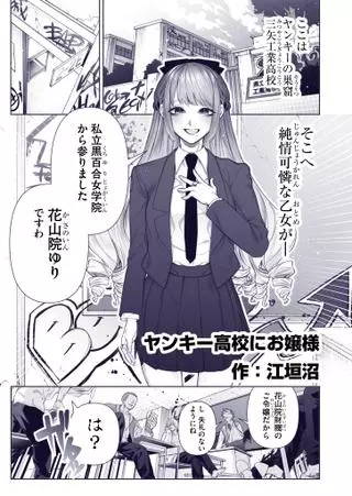 Леди в школе хулиганов