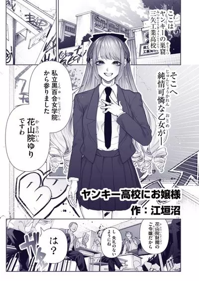 Постер Леди в школе хулиганов