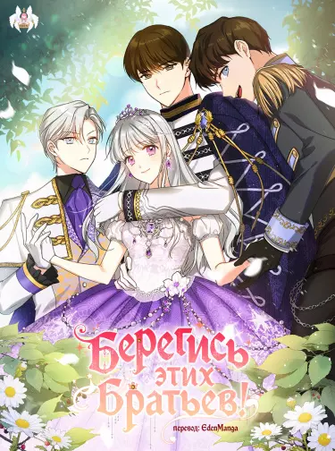 Постер Берегись этих братьев!