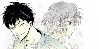 Дни цветения