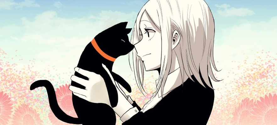 Постер Жизнь чёрной кошки