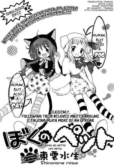 Постер Мои питомцы