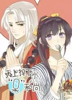 Постер Странный монах, упавший с неба