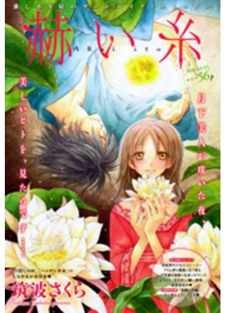 Постер Нить судьбы