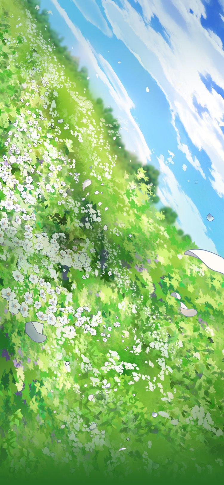 Танец цветов и песнь ветра