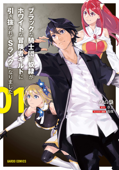 Постер Раб черных рыцарей завербован белой гильдией в качестве авантюриста ранга S