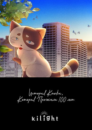 История кошки, которая прожила 100 лет