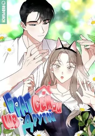 Брат из другой семьи