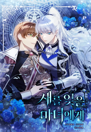 Ведьме, забывшей свою птицу