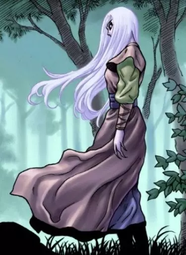 Постер Кумихо