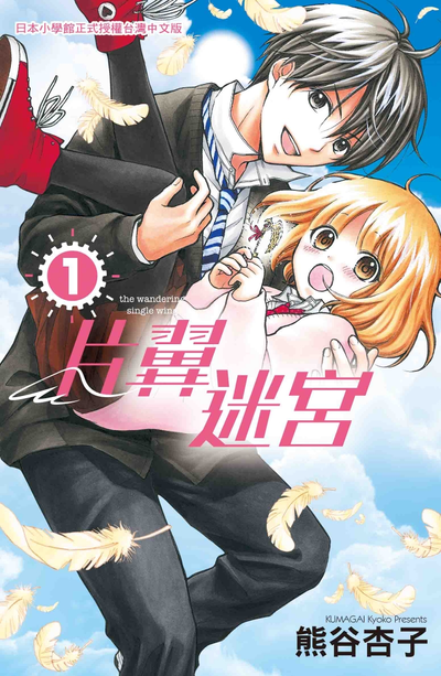 Постер Крылатый лабиринт