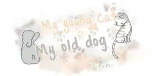 Моя молодая кошка, моя старая собака