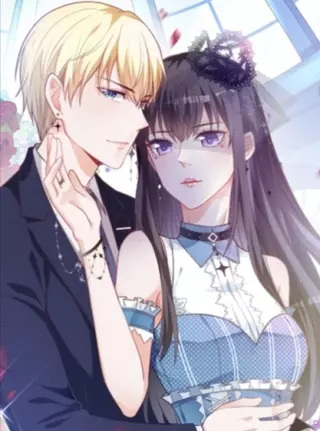 Я стала невестой Мастера Меча