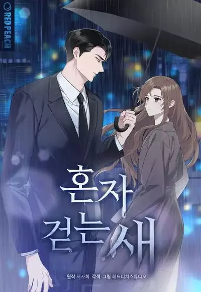 Постер Птица, гуляющая в одиночестве