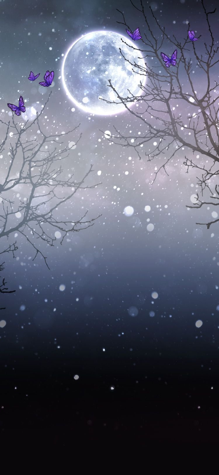 Чёрная зима