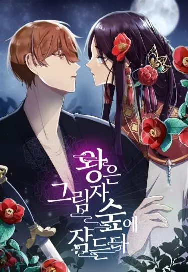 Постер Король засыпает в лесу теней