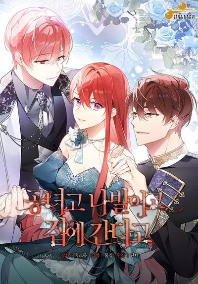 Постер Какая к черту леди, я хочу домой