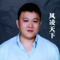 Fenglin Tianxia